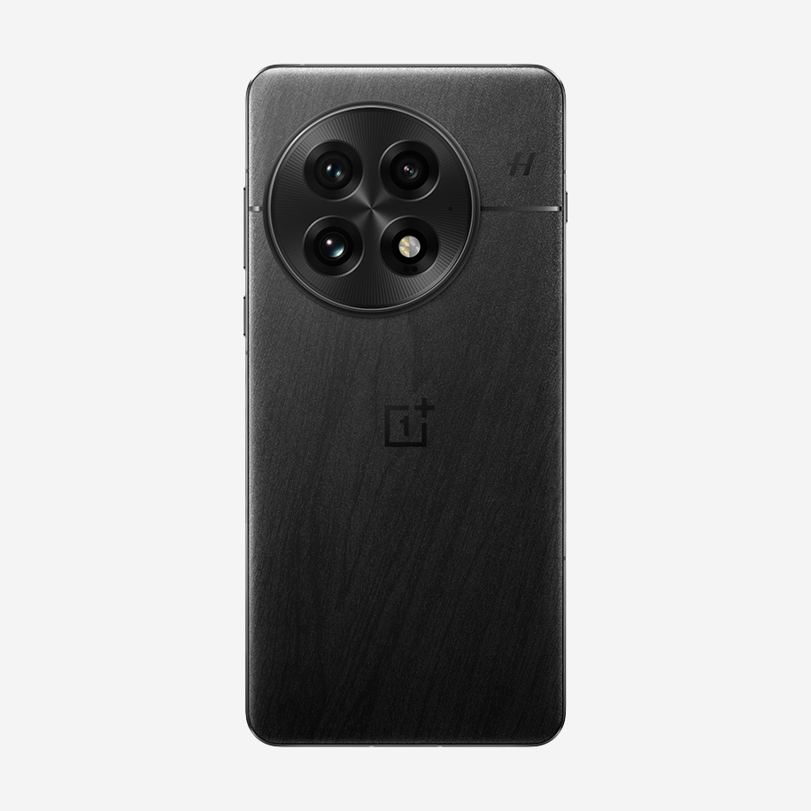 OnePlus 13